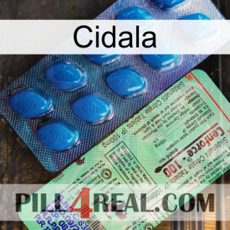 Cidala new02